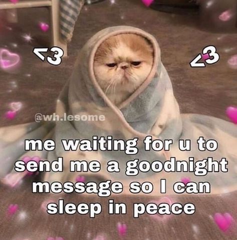 Goodnight Message, Sleep In Peace, Me Waiting, Response Memes, Waiting For U, Snapchat Stickers, Current Mood Meme, Cute Love Memes, Crush Memes