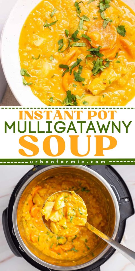 Warm up your fall with Instant Pot Mulligatawny Soup! This Indian curry soup is the perfect cozy dinner recipe, combining easy fall comfort food with vegetarian goodness. Spice up your night with this flavorful recipe. Enjoy a bowl of deliciousness tonight! Instant Pot Mulligatawny Soup, Muligawtany Soup Recipe, Mulligatawny Soup Recipe, Hearty Fall Meal, Soup With Lentils, Souper Cubes, Mulligatawny Soup, Coconut Broth, Vegetarian Soups