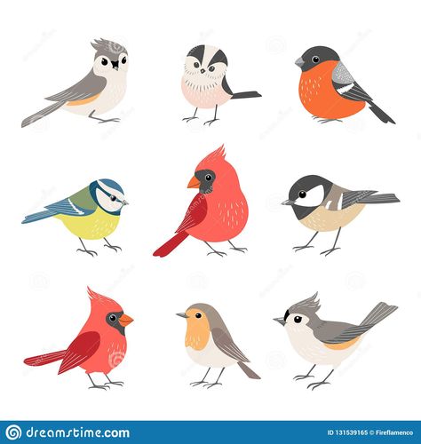 Illustration about Set of cute colorful winter birds isolated on white background. Illustration of vector, bird, design - 131539165 Winter Birds, Bullfinch, Animal Illustrations, Winter Bird, Cute Poster, Racoon, Arte Animal, Bird Drawings, Bird Illustration