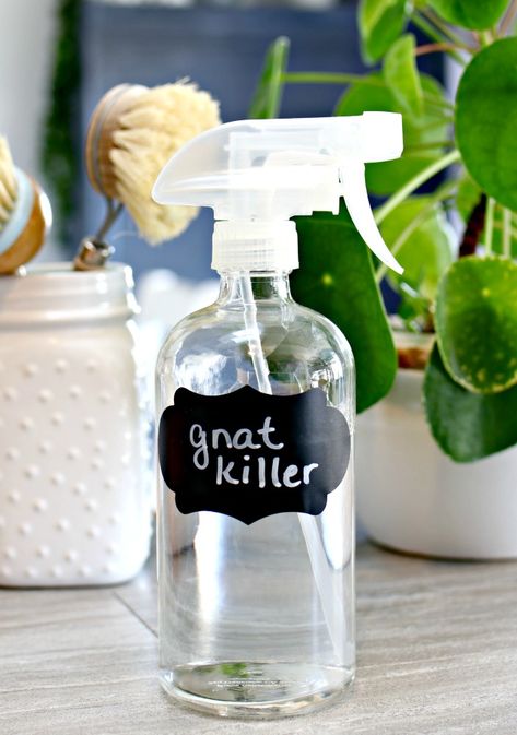 Diy Gnat Spray, Fruit Fly Spray, How To Kill Gnats, Gnat Spray, Gnats In House Plants, Fruit Fly Killer, Fruit Flies In House, Homemade Bug Spray, Ant Spray