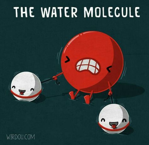 Chemistry Classroom, Chemistry Education, Chemistry Humor, Chemistry Jokes, Teaching Chemistry, Ap Biology, Chemistry Lessons, Chemistry Class, Water Molecule