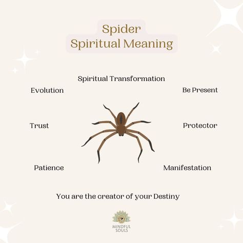 Spider Spiritual Meaning, Spirit Animal Meaning, Animal Meanings, Spirit Signs, Spirit Animal Totem, Spiritual Psychology, Spiritual Animal, Animal Spirit Guides, Animal Symbolism