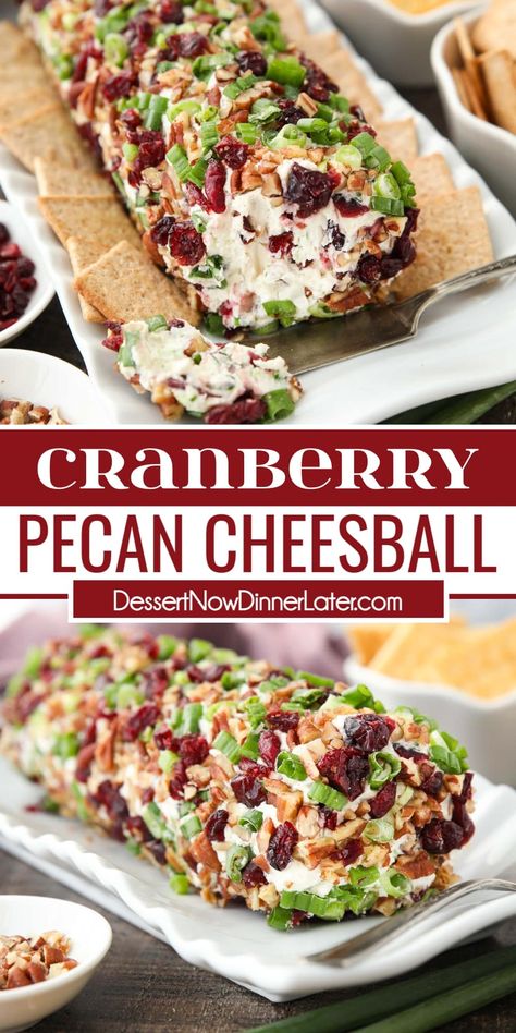 This easy Cranberry Pecan Cheeseball is made with only 5 ingredients: cream cheese, dried cranberries, green onions, white cheddar cheese, and pecans. It's a festive and delicious appetizer for Thanksgiving, Christmas, or New Year's Eve! Cranberry Cheeseball, Pecan Cheeseball, Dried Cranberries Recipes, Cranberry Appetizer, Cranberry Cream Cheese Dip, Cheeseball Recipe, Cream Cheese Appetizer, Christmas Appetizers Easy, Cream Cheese Ball