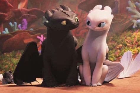 Cute Toothless, Toothless And Stitch, Cute Dragon Drawing, Httyd Art, Toothless Dragon, Dreamworks Dragons, I Love Cinema, Dragon Trainer, Disney Animals