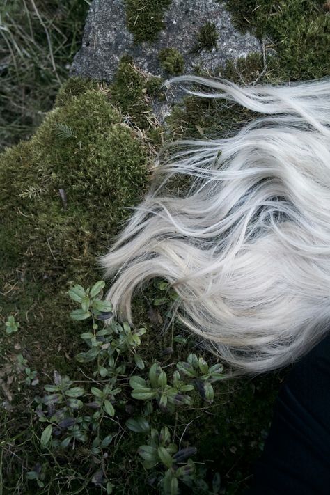 Image about grunge in hair💇🏽 by nadia on We Heart It Kite Aesthetic, Long White Hair, The Last Unicorn, High Elf, The Dark Crystal, Baldur's Gate, Beltane, Throne Of Glass, The Grove