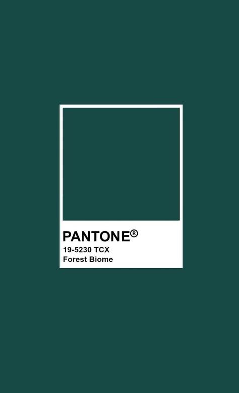 Quetzal Green Pantone, Pantone Botanical Garden, Pantone Jewel Tones, Forest Green Pantone, Emerald Green Pantone, Outfit Verde, Forest Biome, Pantone Green, Glamour Vintage