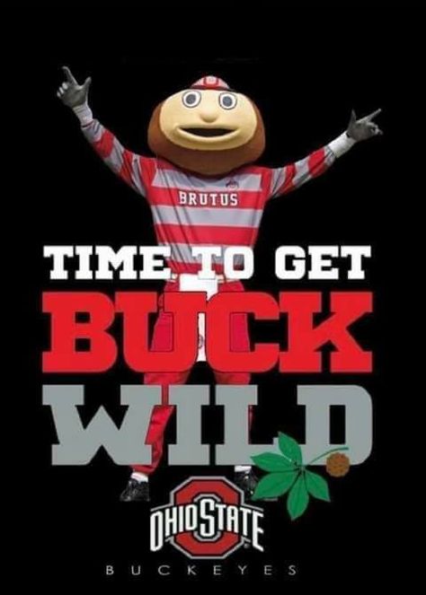 Ohio State Wallpaper, Buckeye Football, Ohio State College, Osu Buckeyes Football, Brutus Buckeye, Osu Football, Buckeye Nation, Ohio State Buckeyes Football, Osu Buckeyes