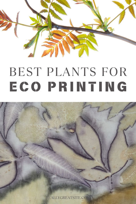 printed leaves and a branch with sumac leaves Flowers For Eco Printing, How To Eco Print On Fabric, Botanical Printing On Fabric, Eco Printing Fabric, Ecoprint Paper, Dyeing Paper, Eco Printing Tutorial, Eco Dyeing Fabric, Paper Leather