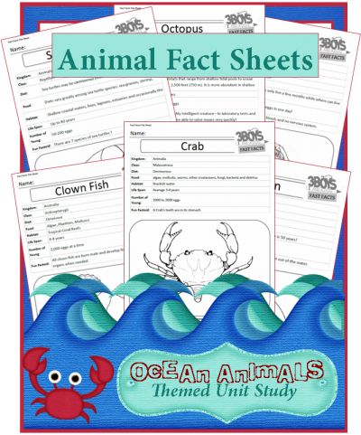 Free Ocean animal fact sheet printables Facts About Ocean, Marine Species, Ocean Unit, Ocean Activities, Ocean Crafts, Oceanography, Unit Study, Homeschool Science, Animal Facts