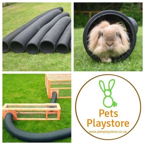 Rabbit Tunnel, Guinea Pig Run, Interesting Animal, Pet Rabbits, Play Tunnel, Large Rabbits, Hamster Cages, Rabbit Cages, Pig Stuff