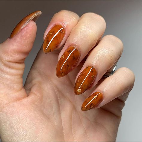 Amber Nails Design, Fall Time Nails, Amber Nail, Amber Nails, Autumnal Colours, Exotic Nails, Almond Acrylic Nails, Jelly Nails, Cat Nails