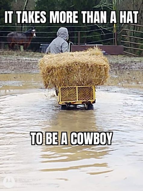 Goofy Quotes, Farm Jokes, Sarah Stone, Barrel Racing Quotes, Horse Quotes Funny, Farm Humor, Horse Riding Quotes, Senior Humor, Cowgirl Quotes