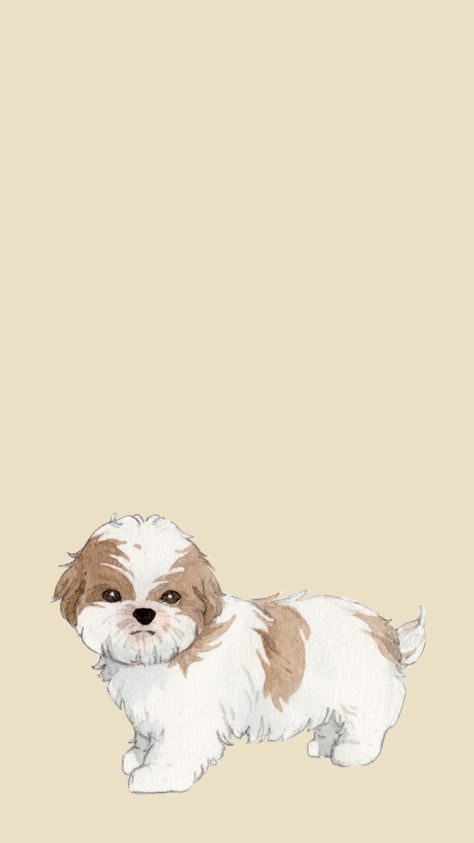 Shihtzu Drawings, Shitzu Wallpaper Iphone, Shitzu Aesthetic Wallpaper, Shitzu Puppies Wallpaper, Shih Tzu Wallpaper Iphone, Shitzu Illustration, Shitzu Wallpaper, Shihtzu Tattoos, Meaning Wallpapers