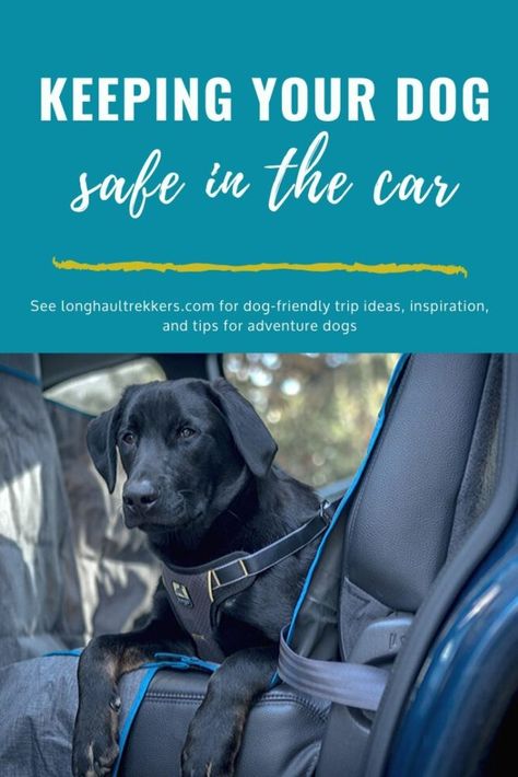 Dog Safety In Car, Dog Essentials For Car, Car Safety Tips, Dog Car Travel, Dog Car Harness, Road Trip With Dog, Dog Car Safety, Car Harness, Dogs Tips