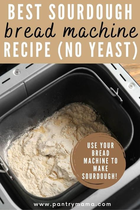 Sour Dough Bread Machine Recipe, Sourdough Flavors, Bread Machine Sourdough, Bread In A Bread Machine, Sourdough Bread Machine, Best Sourdough Bread, Pantry Mama, Bread Machine Recipes Sweet, Sourdough Starters