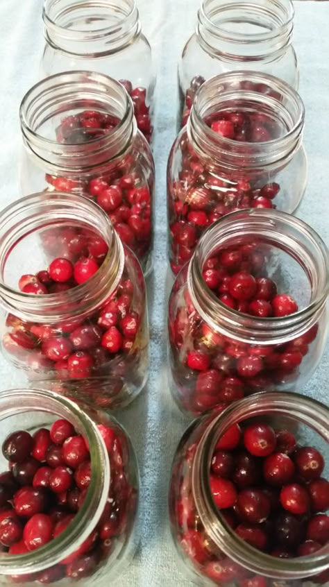 Canning Cranberry Juice – Preserving the Good Life Fresh Cranberry Juice Recipe, Canning Cranberry Juice, Canning Cranberry Sauce, Canning Cranberry, Fresh Cranberry Recipes, Canned Cranberries, Pressure Canning Recipes, Canning Fruit, Canning Pickles