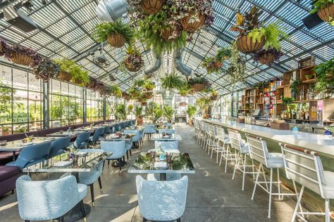 Greenhouse Restaurant, Los Angeles Downtown, The Melting Pot, Brunch Places, Los Angeles Restaurants, Los Angeles Hotels, Best Boutique Hotels, Garden Types, Little Italy