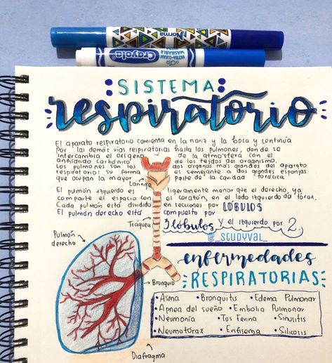 Fotos De Freyja Steffens En Apuntes En 2021 | Apuntes De Medicine Notes, Medicine Studies, Sketch Note, Medical Student Study, College Notes, Medicine Student, Medical School Inspiration, Medical School Studying, Medical School Essentials