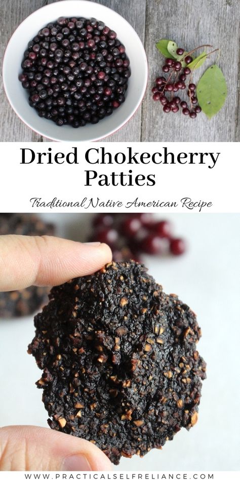 Colonial America Recipes, Chokecherries Recipes, Native American Recipes Traditional, Chokeberry Recipes, Native American Food Recipes, Chokecherry Recipes, Traditional Native American Food, Cherokee Food, Native Recipes