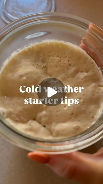 Southworth Sourdough | baking | Cold weather starter tips 👇🏻 

🍂❄️ don’t forget to save this to refer back to and follow for more!

Caring for starter in cool/cold weather... | Instagram Southworth Sourdough, Sourdough Bread Starter, Dough Starter, Whole Grain Flour, Sourdough Starter Recipe, Sour Dough, Sourdough Baking, Yeast Bread, Starters Recipes