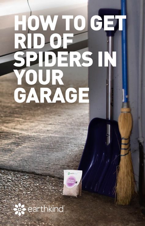 Spider Prevention, Natural Spider Repellant, Spiders Repellent, Diy Garage Bar, Get Rid Of Spiders, Diy Garage Storage Cabinets, Garage Shelves, Clean Garage, Diy Garage Door