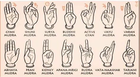 🕉️☯️ theconscioussoul ☯️🕉️ on Instagram: “Mudras are hand gestures during meditation that channel your body’s energy flow. These ancient symbolic seals may hold the key to deepening…” Mudras Meanings, Gyan Mudra, Yoga Mudra, Yoga Mudras, Hand Mudras, Trening Sztuk Walki, Yoga Kundalini, Yoga Hands, Hand Gestures