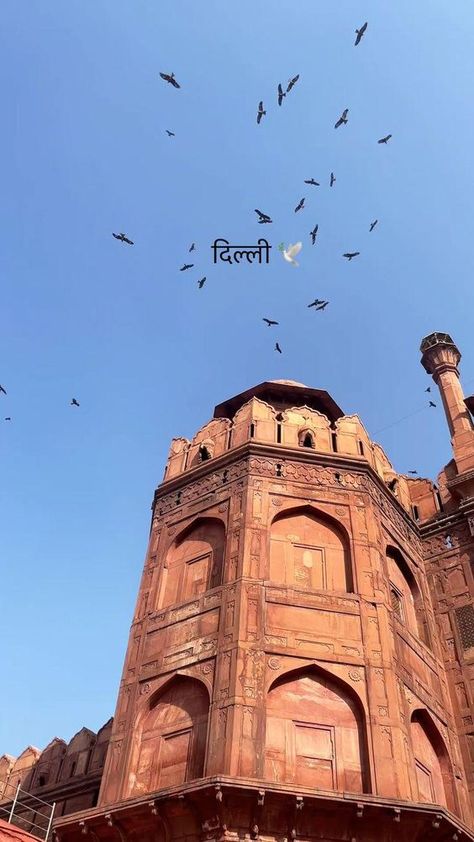 Travel Video Ideas, Delhi Tourism, Travel India Beautiful Places, Delhi Travel, Travel Infographic, Travel Picture Ideas, Holiday Travel Destinations, Adventure Travel Explore, Travel Inspiration Destinations