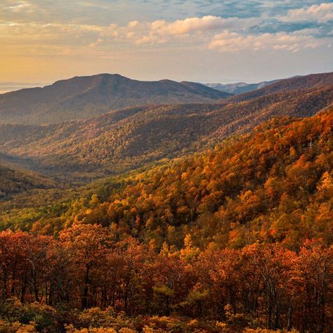 What is the Appalachian Trail length? Here's how long hiking it would take you. — USA TODAY Appalachian Aesthetic, Appalachia Aesthetic, Regional Gothic, Autumn Hike, Changing Aesthetic, Fall Moodboard, Landscape Reference, Mountains Aesthetic, Appalachian State