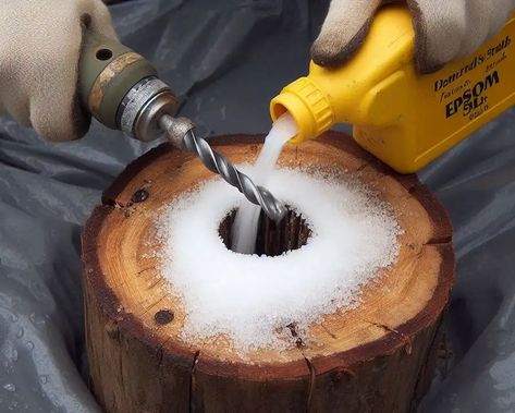 How To Carve A Tree Stump, Removing Stumps Diy, How To Disguise A Tree Stump, Remove Tree Stump And Roots, How To Remove Tree Stumps Fast, How To Get Rid Of Tree Stumps Fast, Tree Stump Removal Diy, How To Kill A Tree Stump Fast, How To Decorate A Tree Stump