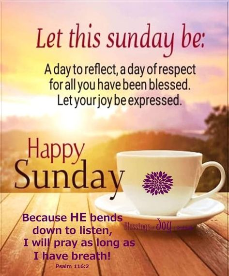 Positive Good Night Quotes, Monday Morning Wishes, Afternoon Greetings, Birthday Niece, Happy Sunday Images, Happy Sunday Morning, Sunday Morning Quotes, Daily Wishes, Sunday Blessings