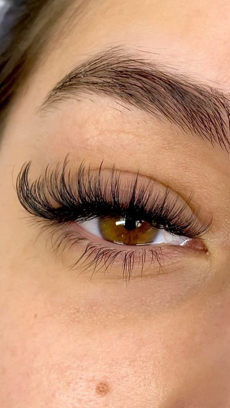 D Curl Lashes Extensions, Soft Volume Lashes, Mink Lashes Extensions, Wispy Volume, Whispy Lashes Cat Eye Hybrid, Fluffy Cat Eye Hybrid Lash Extensions, Eyelash Inspo Hybrid, Natural Cat Eye Hybrid Lashes, Wispy Hybrid Cat Eye