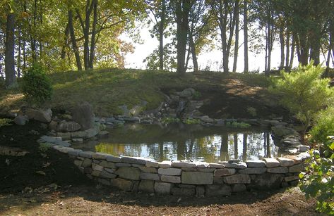 Pond on a slope Diy Pond Pool, Woodland Pond, Natural Swimming Ponds, Backyard Pond, Garden Pond Design, Sloped Yard, Hillside Garden, Pond Fountains, Pond Life