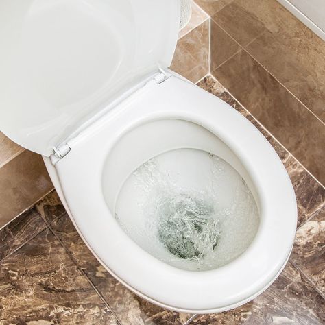 10 Reasons Why Your Toilet Won't Flush Bathroom Maintenance, Handyman Hacks, Clogged Toilet, Drain Cleaners, Handy Man, The Family Handyman, Dual Flush Toilet, Floor Trim, Plumbing Problems