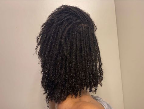 Micro Locs Loose Ends, Curled Micro Locs, Micro Locs Curly Ends, Micro Locs Aesthetic, Thick Micro Locs, Locs Curly Ends, Microlocs 1 Year, Locs Curly, Dreadlocks Hair Care