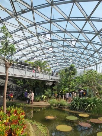 Shinjuku Gyoen National Garden, Beauty Blender How To Use, Shinjuku Gyoen, Beauty Therapy Room, Shinjuku Tokyo, Japanese Travel, Japan Guide, Urban Forest, Japan Aesthetic