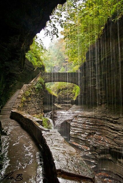 Sunken garden. Glen Rose, TX Watkins Glen State Park, Glen Rose, Texas Things, Magic Places, Texas Places, Rainbow Falls, Sunken Garden, Watkins Glen, Stone Bridge