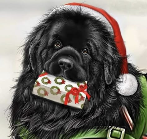 Newfoundland Christmas, Newfoundland Dogs, Adorable Puppy, Newfoundland Dog, Dog Cards, Sculpture Painting, Dog Paintings, Christmas Love, Newfoundland