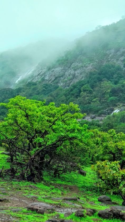 Rain Photography India, Lonavala Photography, Monsoon Wallpaper, Seasons Photography, Monsoon Season, Holiday Travel Destinations, Dont Touch My Phone Wallpaper, Beach Background Images, Durga Images