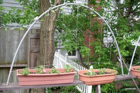 PVC Trellis #planter #garden #flowers #deck #yard Potted Plant Trellis Diy, Clear Plastic Trellis, Wire Hanger Trellis Diy, Diy Small Trellis For Flower Pot, Diy Wire Trellis For Potted Plants, Pumpkin Trellis, Diy Garden Fence, Diy Garden Trellis, Small Patio Garden