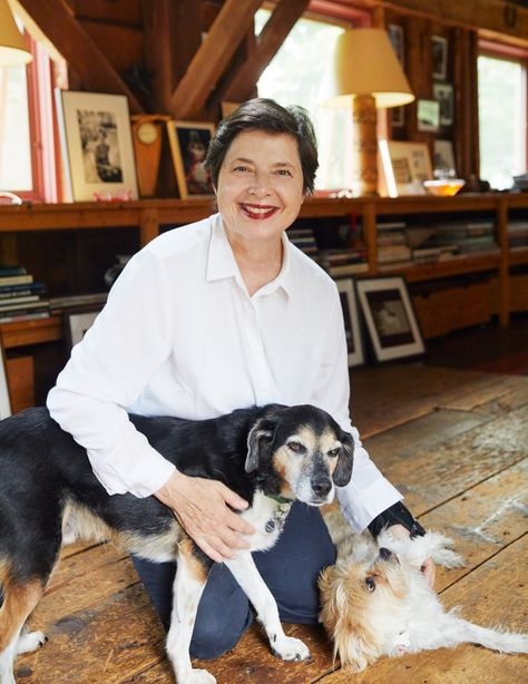 How Isabella Rossellini Turned A Dilapidated Long Island Barn Into An Animal-Filled Country Retreat | British Vogue British Cottage Interior, Manhattan Loft, British Cottage, Isabella Rossellini, Converted Barn, Emmanuelle Alt, Life Styles, Cecil Beaton, Country Retreat