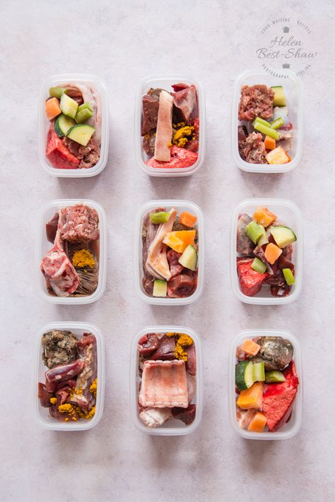 Dog Meal Prep, Bulk Meal Prep, Dog Raw Diet, Raw Dog Food Diet, Dog Storage, Raw Dog Food Recipes, Raw Diet, Dog Nutrition, Raw Food Diet