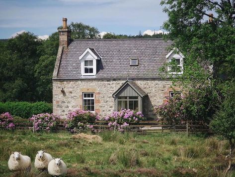 Scottish Cottage, Scottish Cottages, Victoria Magazine, Dream Cottage, Cottage Life, Stone House, Garden Cottage, English Countryside, English Cottage