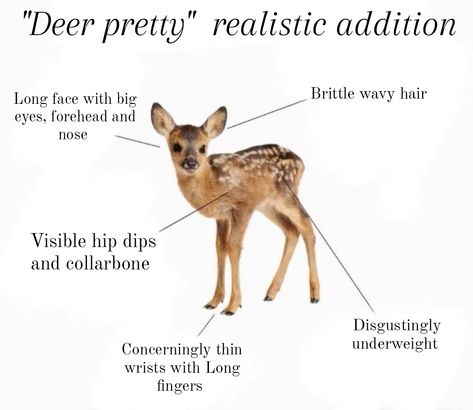 I feel like the whole "deer pretty" is unrealistic and only valid if it's a makeup look or a fashion style. If we talk about actual physical appearance we could point out certain insecurities. Being underweight, long face, big forehead,nose and a certain jaw misalignment with unique teeth could be the realistic version of deer pretty except people have made every kind of animal have UNATTAINABLE beauty standards which people wanna fit in,  lets give everyone a recognition. regardless, this goes way far into brain rot if we argue on what animal pretty we all are. We all are pretty in our own ways you don't have to fit in with a specific animal you like or others do. #deer #fyp #reactionmeme Doe Eyes, This Is Your Life, Girl Blogging, Im Just A Girl, Oh Deer, A Deer, I'm Just A Girl, Silly Me, What’s Going On