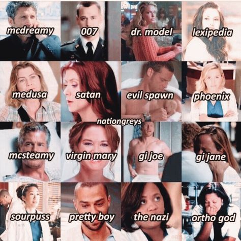 Greys Anatomy Nicknames, Grey's Anatomy Quiz, Anatomy Memes, Greys Anatomy Facts, Greys Anatomy Episodes, Gray's Anatomy, Greys Anatomy Funny, Anatomy Quotes, Greys Anatomy Characters