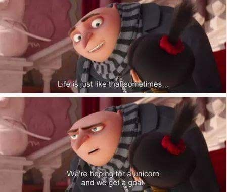 Despicable Me Quotes, Despicable Me Memes, Despicable Me Funny, Gru And Minions, Funny Minion Memes, Despicable Me 3, Dark Memes, Movie Lines, Belly Laughs