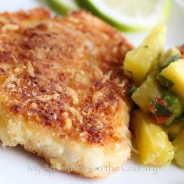 Breaded Baked Swai Fillets Swai Recipes, Baked Swai, Parmesan Crusted Fish, Swai Fish, Cranberry Salad, Fish Dinner, Parmesan Crusted, Fish Dishes, Seafood Dishes