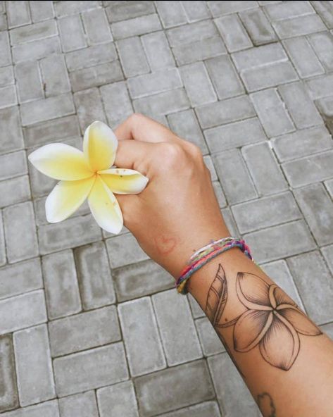 Top 70+ Best Plumeria Tattoo Ideas - [2022 Inspiration Guide] - Next Luxury Hawaii Flower Tattoos, Plumeria Flower Tattoos, Frangipani Tattoo, Aloha Tattoo, Hawaiian Flower Tattoos, Plumeria Tattoo, Tropical Tattoo, Hawaii Tattoos, Surf Tattoo