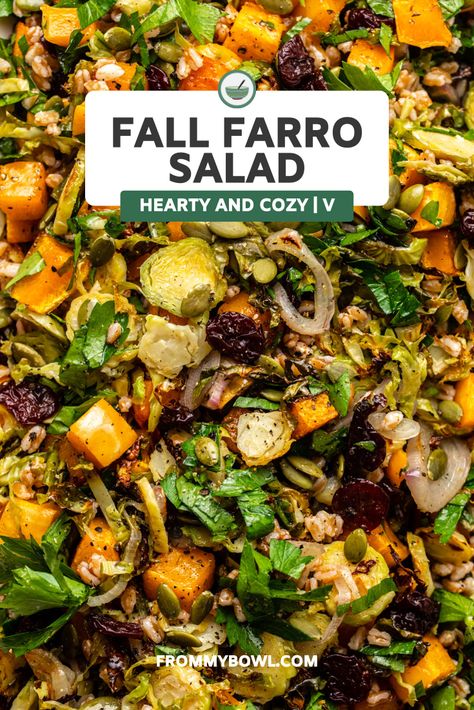 Fall Salad Ideas, Fall Farro Salad, Easy Fall Salad, Salad With Butternut Squash, Farro Salad Recipes, Farro Recipes, Apple Cider Vinaigrette, Apple Walnut Salad, Cider Vinaigrette