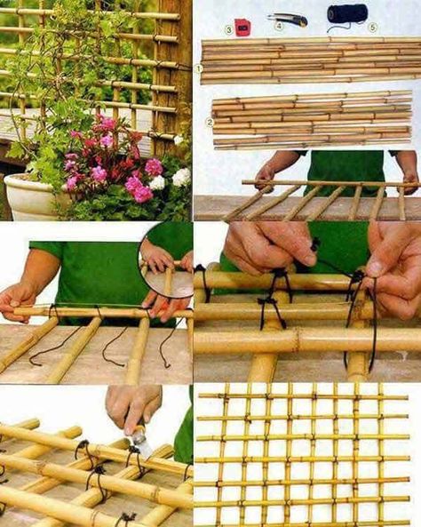 Decore Your Home With Creative DIY Bamboo Crafts-homesthetics (20) Bamboo Diy, Bamboo Trellis, نباتات منزلية, Bamboo Decor, Bamboo Poles, Bamboo Garden, Bamboo Fence, Trellis Plants, Bamboo Crafts