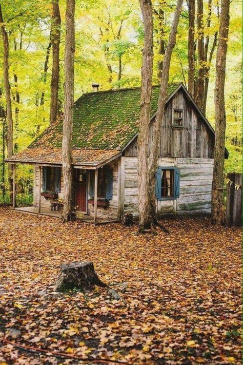 All Need is a Rustic Little Cabin in the Woods (28 Photos) - Suburban Men A House In The Woods, Tiny Log Cabin, Log Cabin Exterior, Old Cabins, Old Cabin, Log Cabin Interior, Little Cabin In The Woods, Log Cabin Designs, Forest Cabin